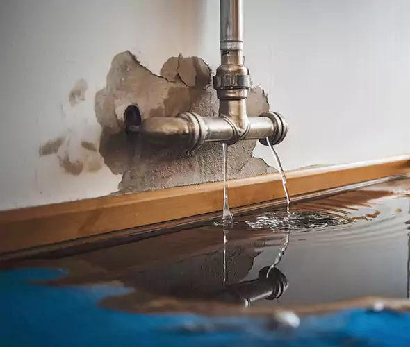 Professional Water Damage Restoration Experts in South Plainfield, NJ — Fast, Reliable & Certified