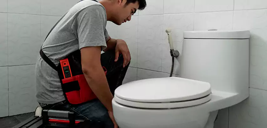 Toilet Repair in South Plainfield