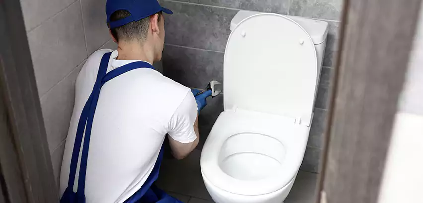 Toilet Lid Replacement in South Plainfield